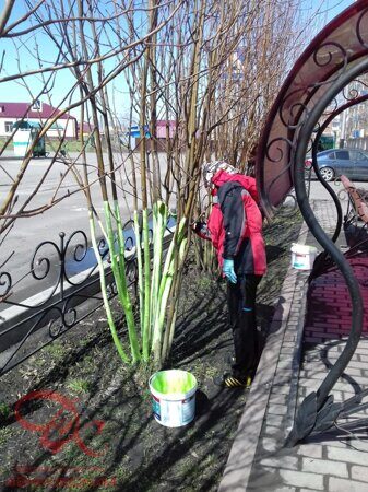 IMG-20190508-WA0006